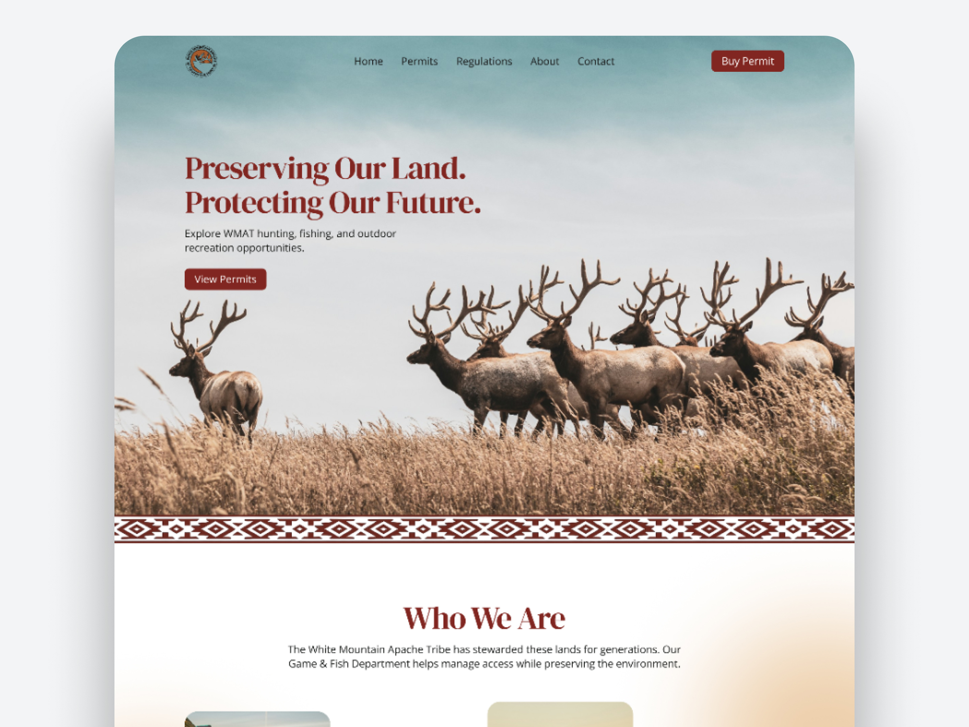 Modern Redesign Website graphic design modern website redesign