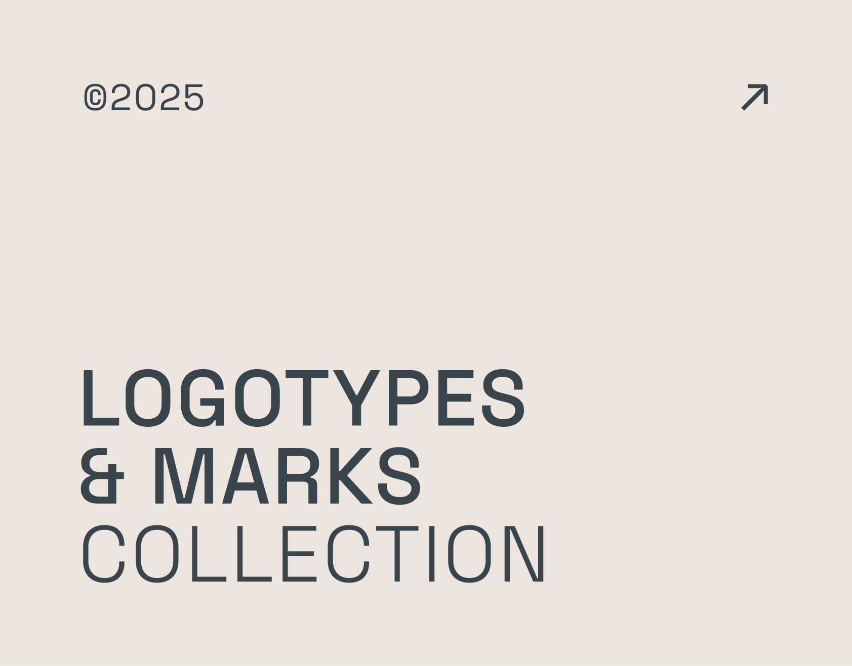 2025 Logo Design Collection branding graphic design logo