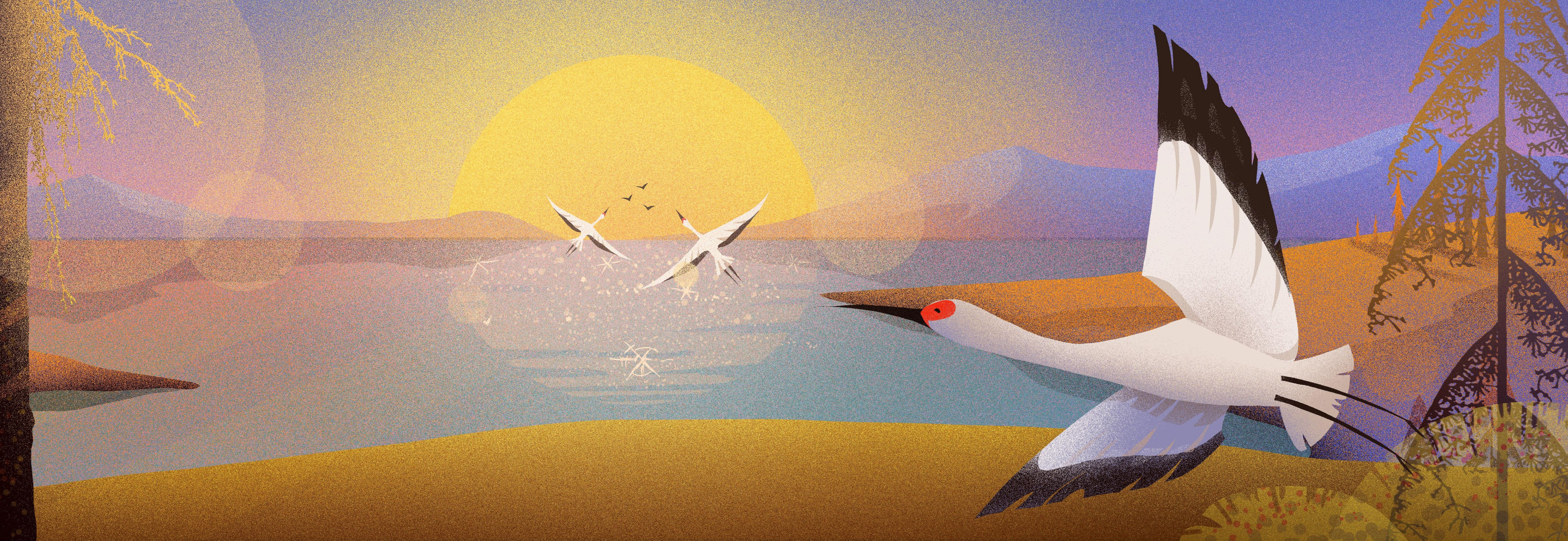 Golden Hour Reverie 2d animation character design concept art illustration promo