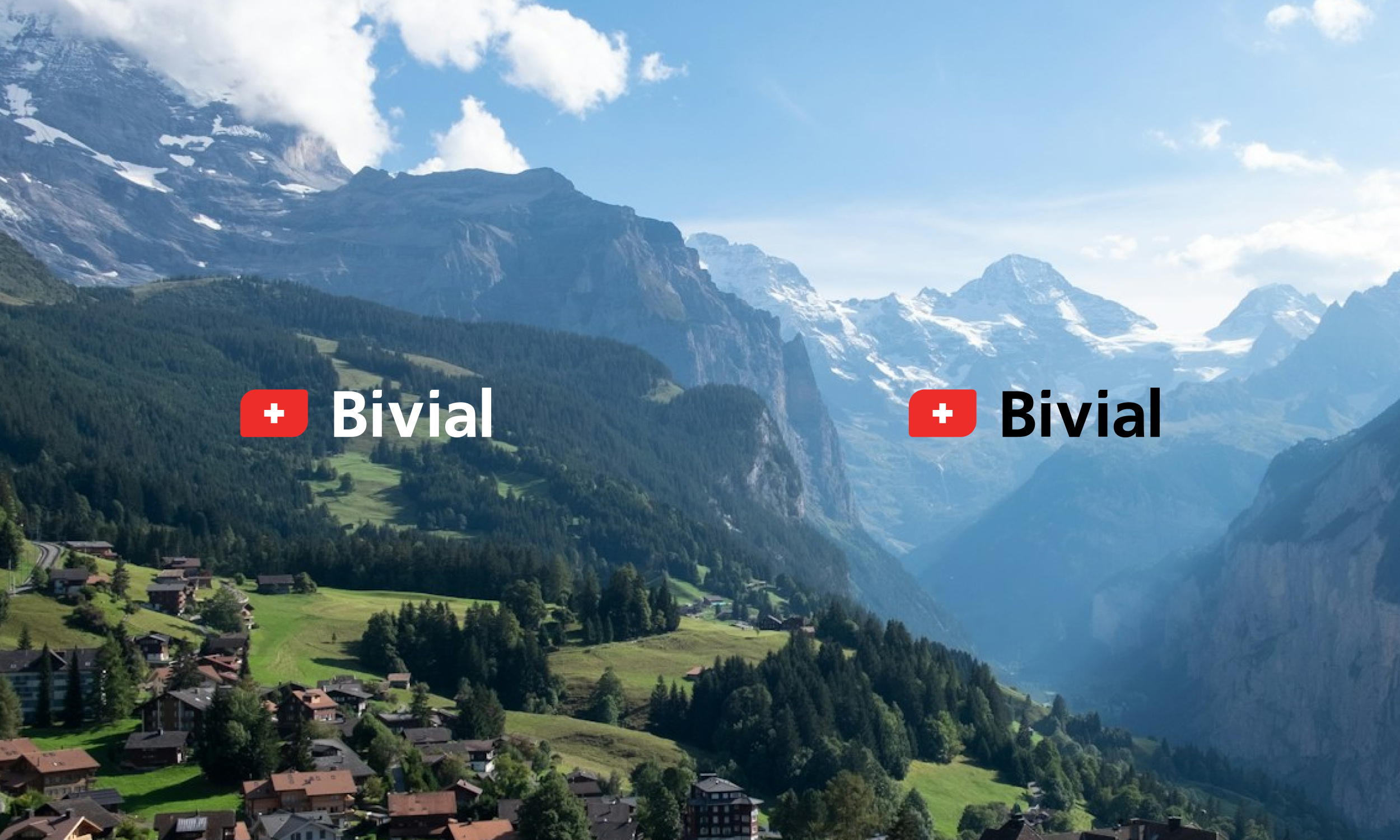 Bivial — modern Swiss fintech branding
