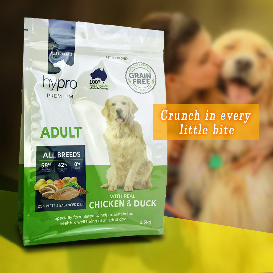 Pawfect Bites – Complete Nutrition Dog Food branding design graphic design illustration ittustration logo typography ui ux vector