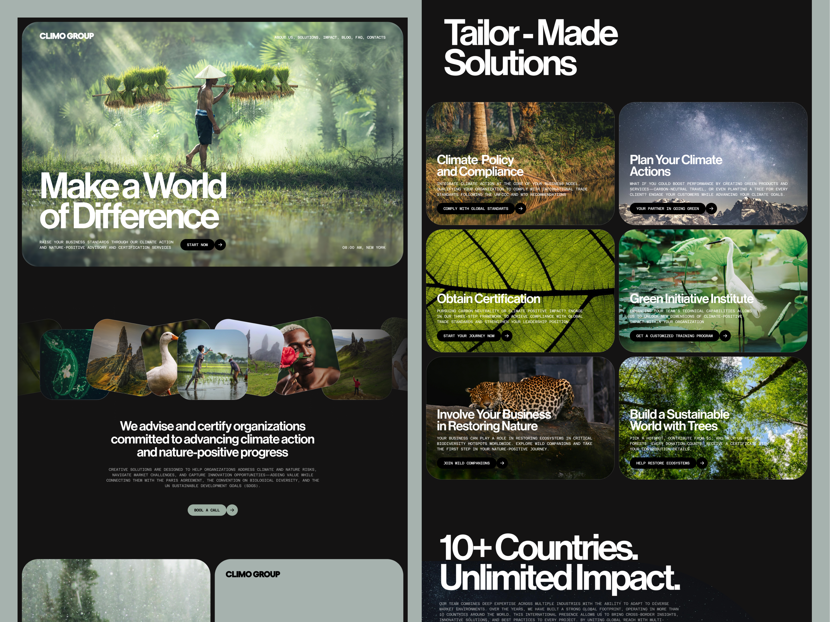 Example of Custom Webflow Development Website