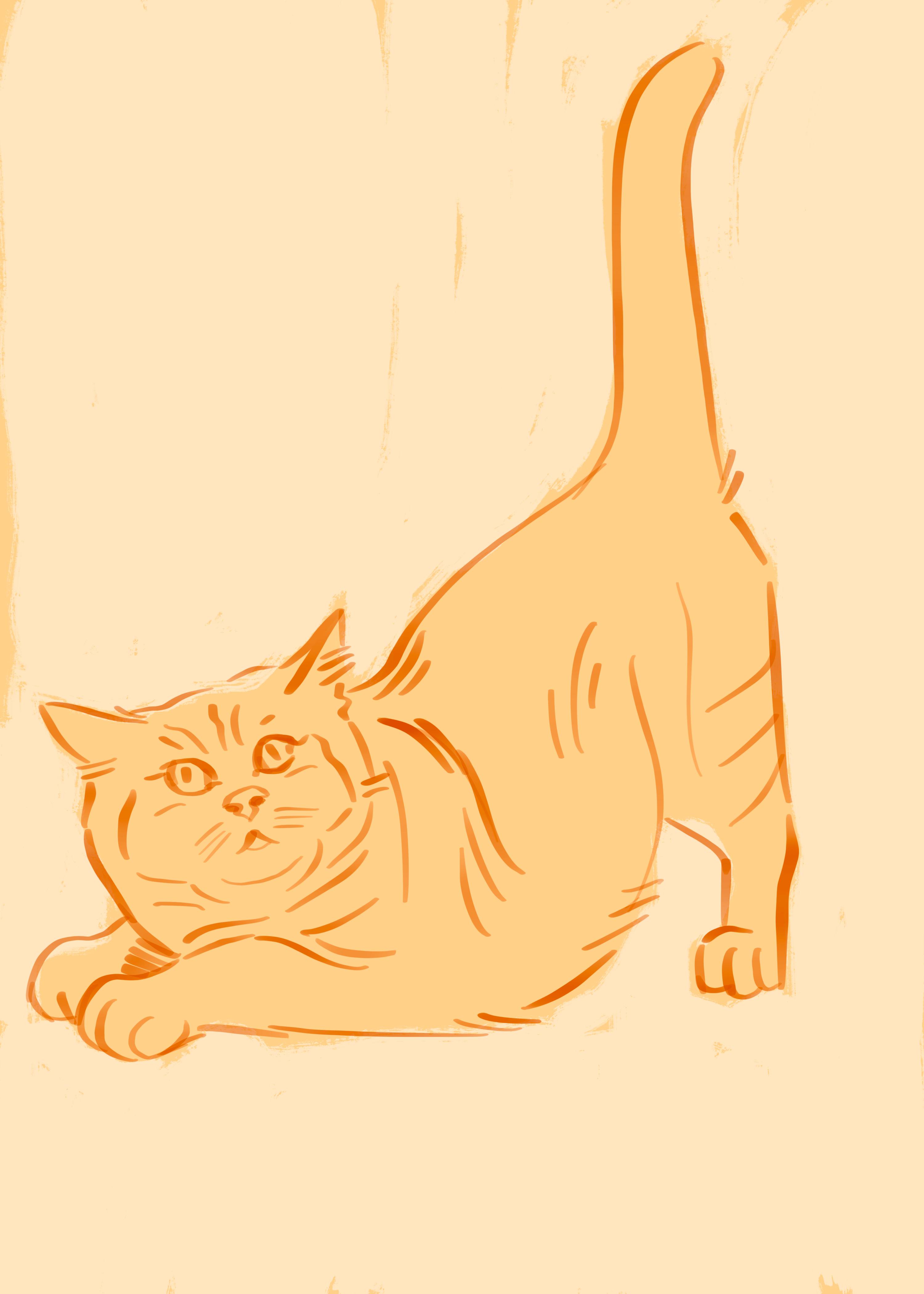 Cats | fast sketching animal body cat line position procreate sketch