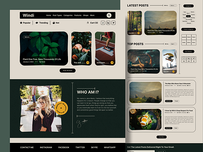 Windi - Personal Blog Website Design branding design graphic design typography ui ui ux web design
