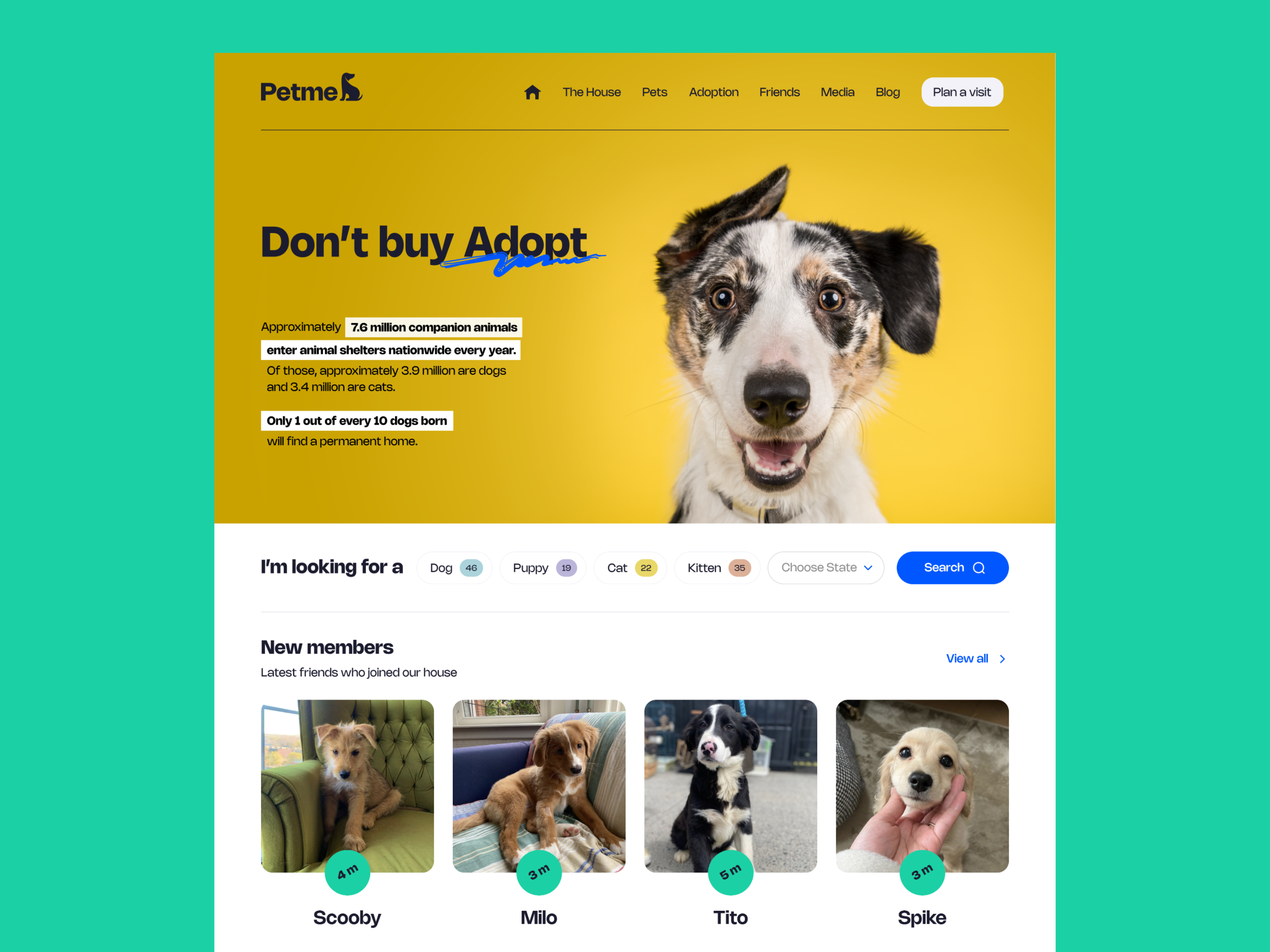 Petme design logo ui ux web