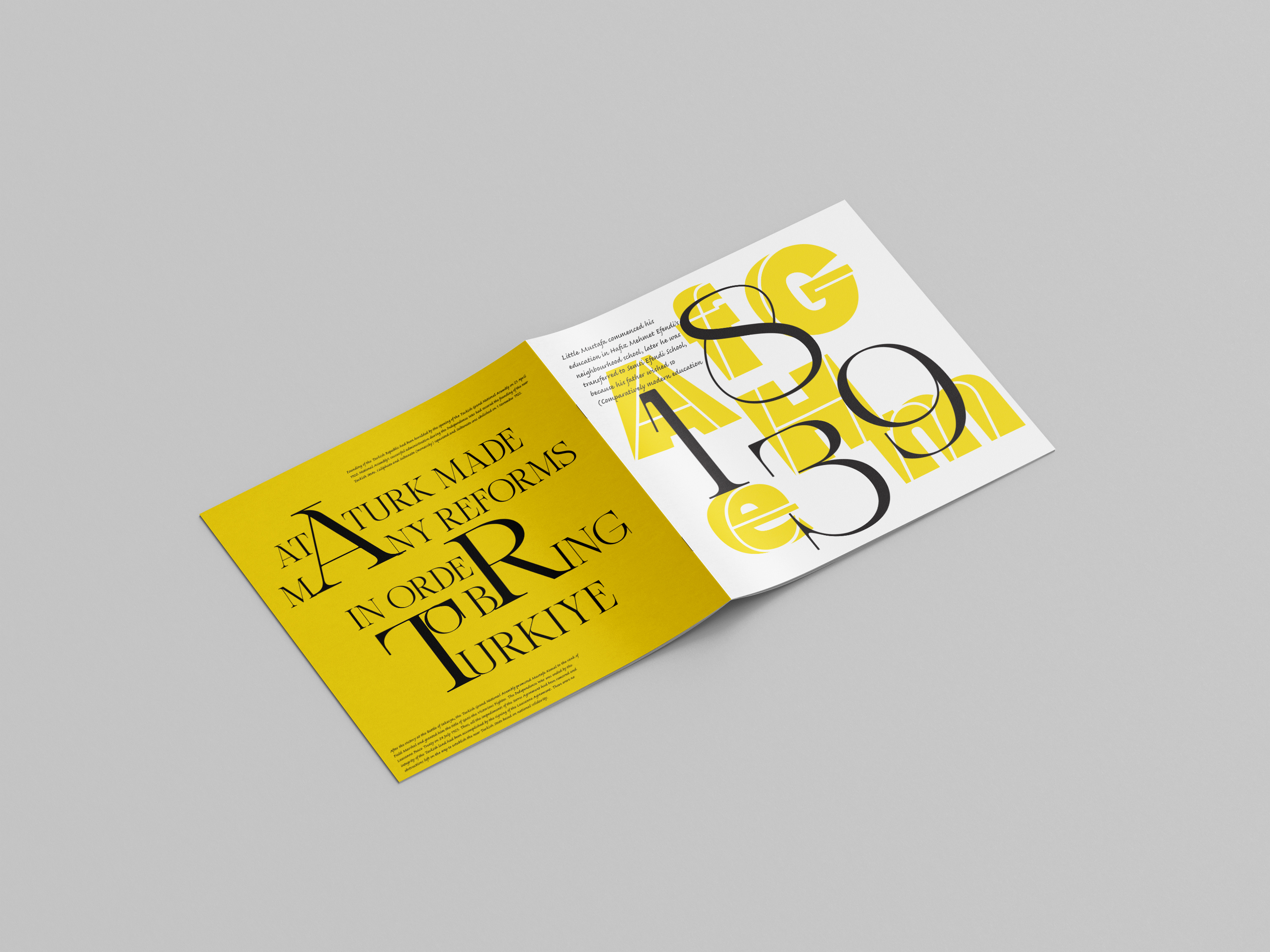 Example of Professional Catalogue/Brochure Design 