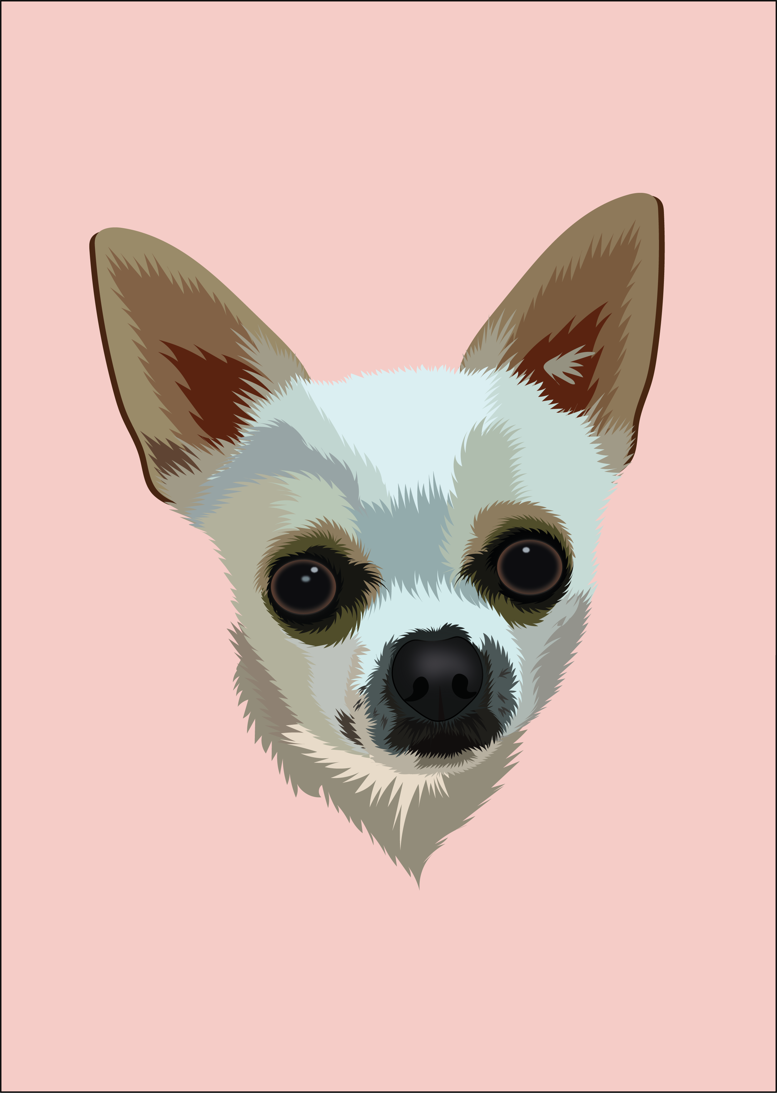 Coconut adorable animal animalportrait character characterdesign chihuahua coconut cute digitalillustration dog dogportrait flatdesign illustration minimal pastel pet petportrait softcolors vector vectorart