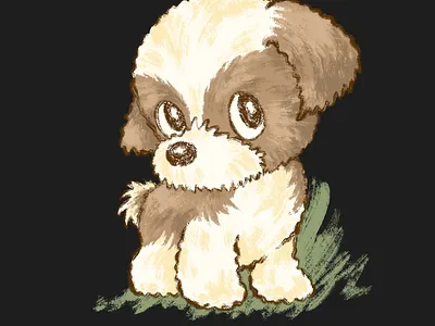 The Shih Tzu puppy is looking at you. animal character character design cute dog funny kawaii pet shih tzu