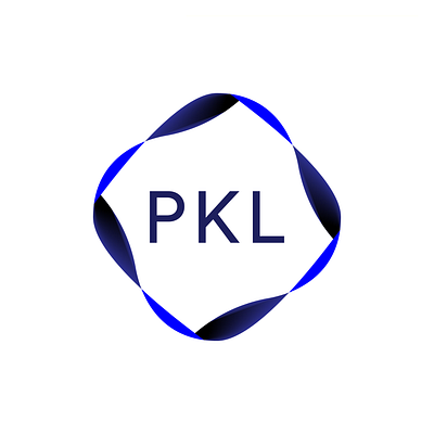 PKL Data Manager Logo branding design graphic design logo vector