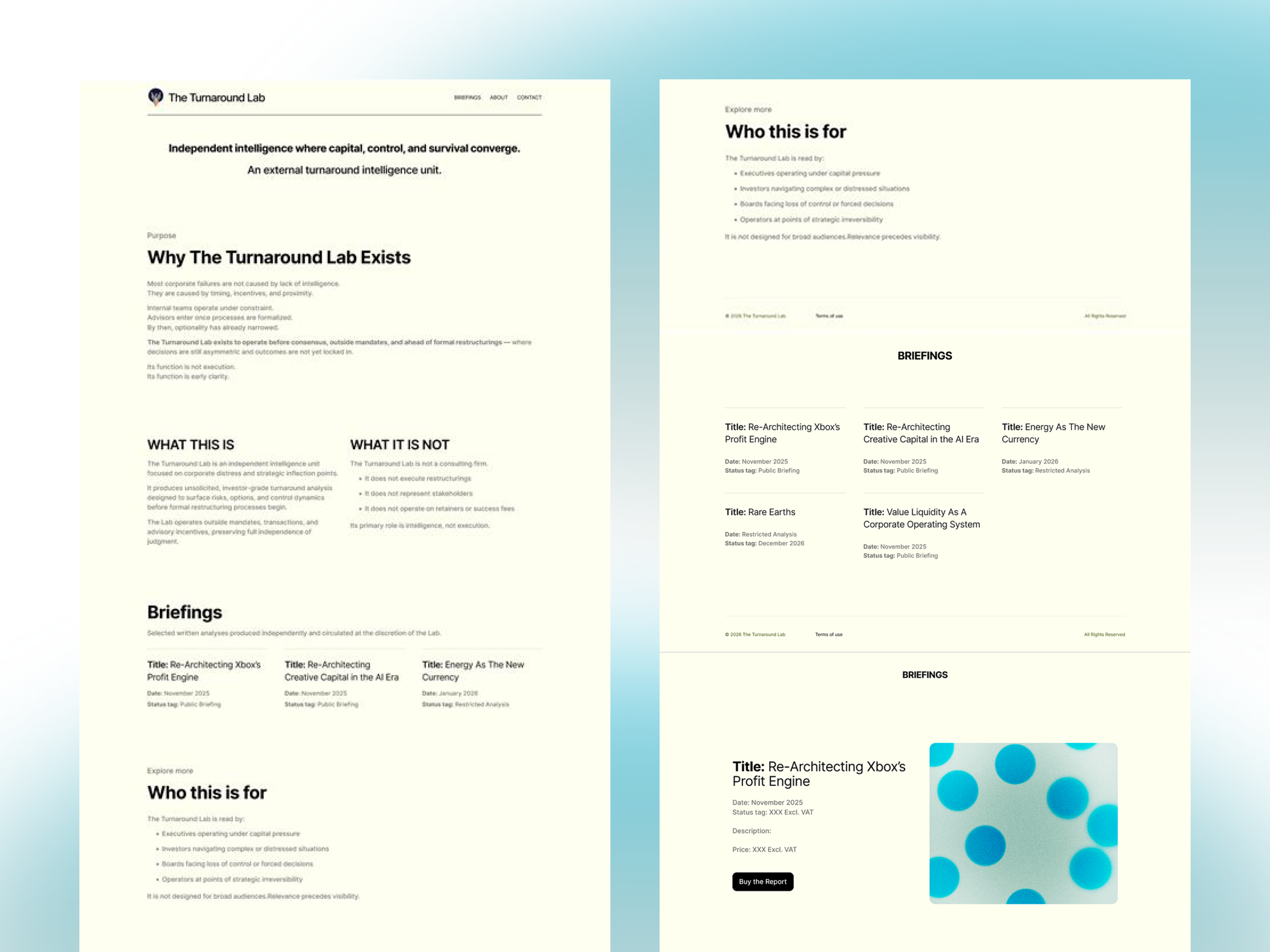 The Turnaround Lab – Figma to WordPress (Elementor) cms design development elementor front end development graphic design landing page responsive upwork website website development wordpress