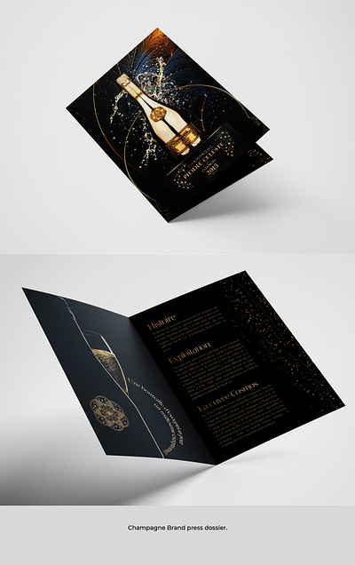 Champagne Dossier branding dossier graphic design