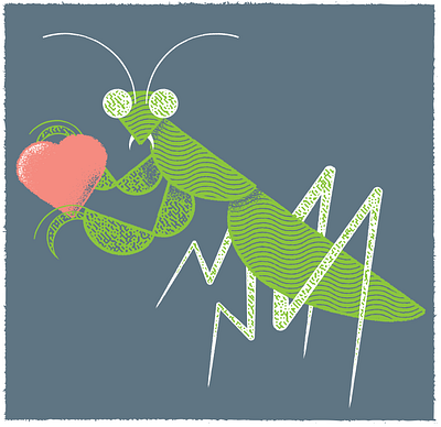 Love will tear us apart, again. adobe illustrator editorial editorial illustration illustration love day love will tear us apart mantis praying mantis texture valentines day vector