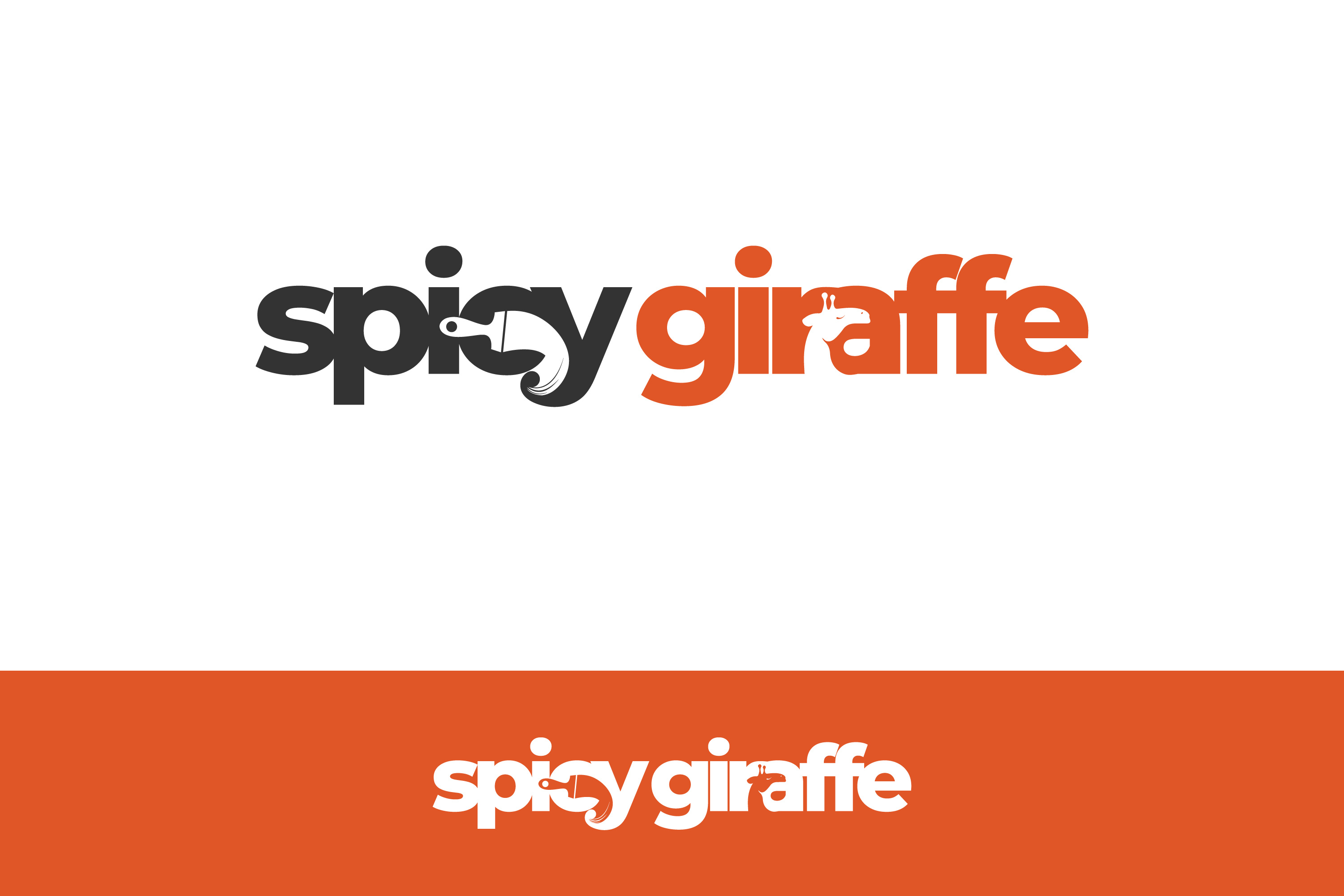 Example of Logo Design & Brand Style Guide