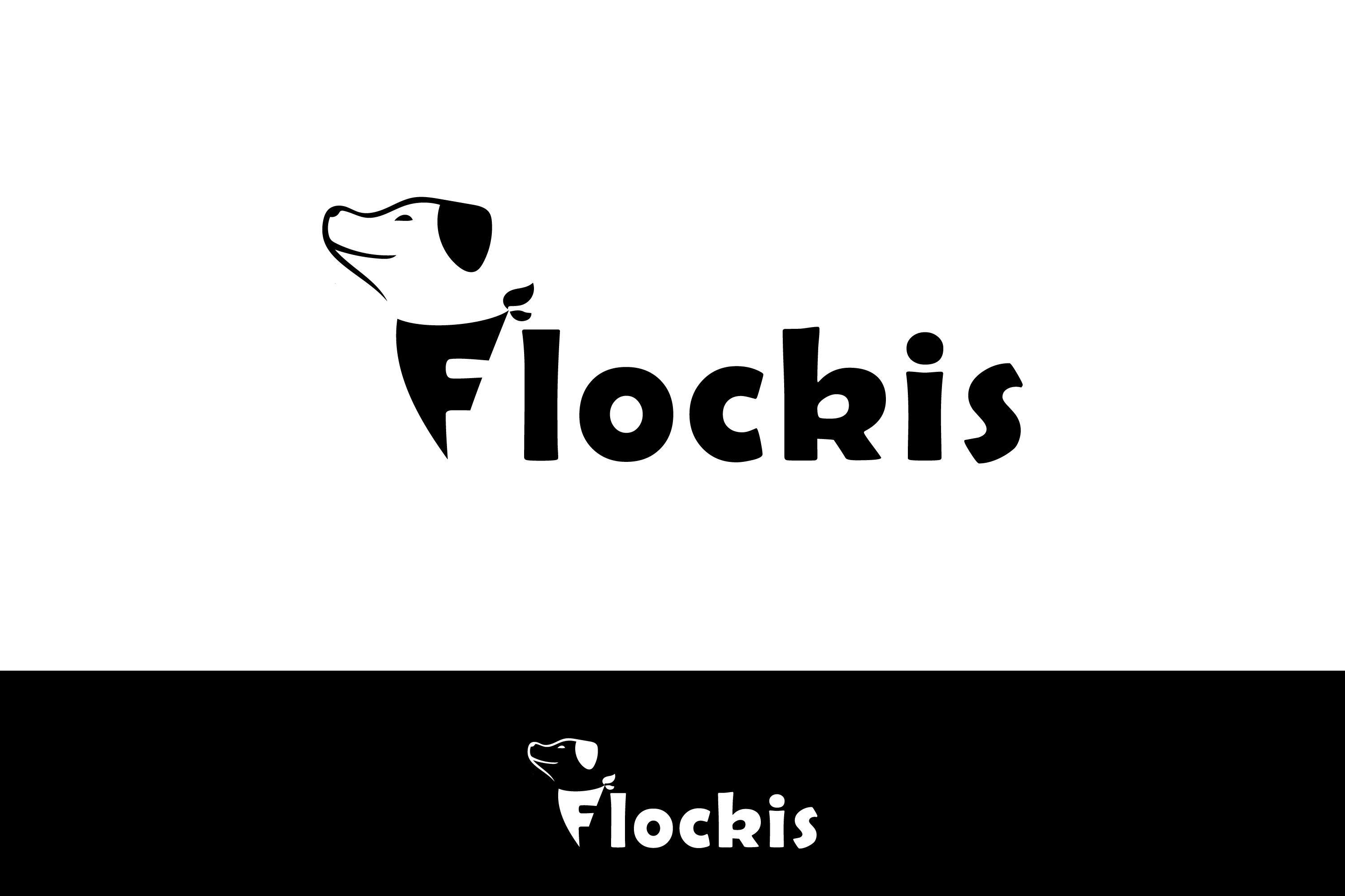 Example of Logo Design & Brand Style Guide