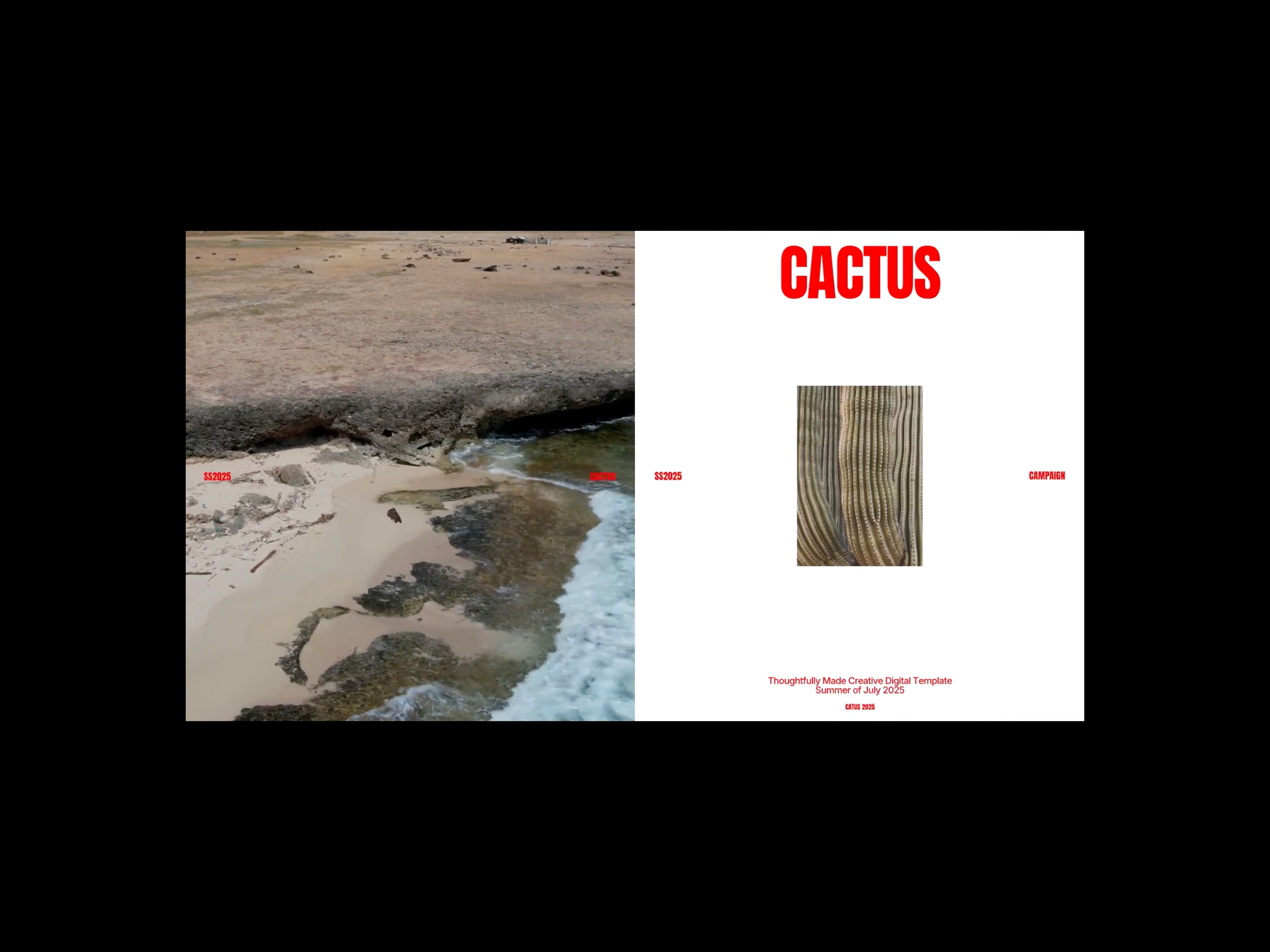 Cactus Editorial Design animation art direction brand identity branding deck design digital campaign graphice design minimal design motion design motion graphics pitch deck typography video video editing visual campaign visual design visual identity web design white space