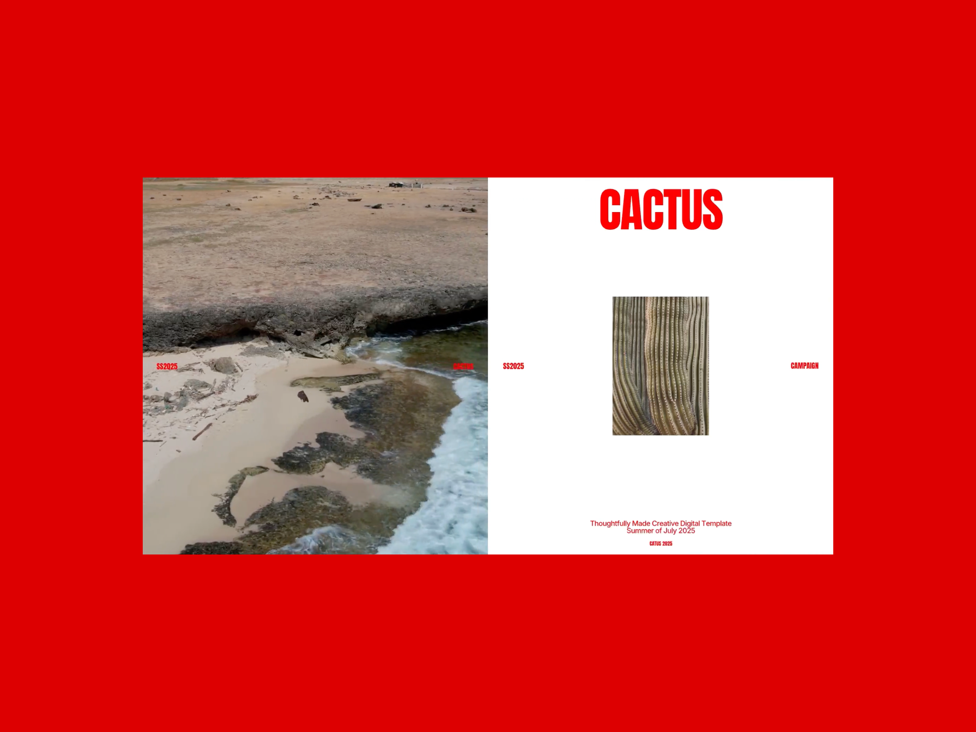 Cactus Editorial Design animation art direction brand identity branding deck design digital campaign graphice design minimal design motion design motion graphics pitch deck typography video video editing visual campaign visual design visual identity web design white space