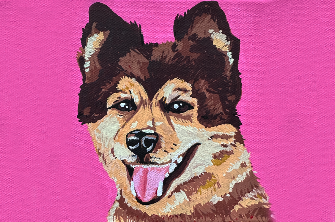 Mr. Maximus Brown design dog dog painting dog portrait illustration painting pomeranian portait posca