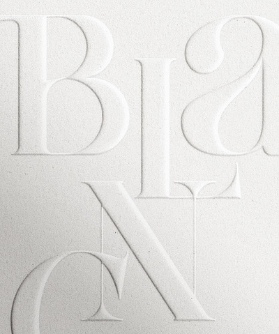 Blanc Wordmark branding design graphic design logo typography