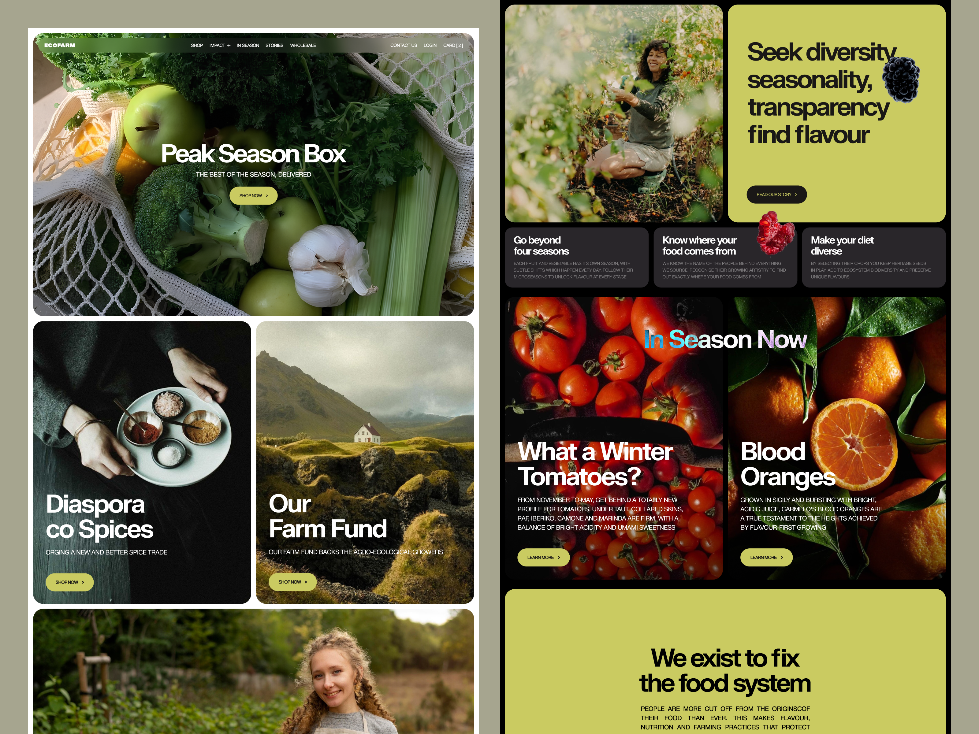 Example of E Commerce Design