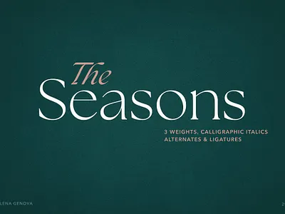 Seasons Serif Font aesthetic alternates calligraphy classy clean contemporary cursive font display font elegant handwritten high contrast invitation minimal seasons serif font the seasons serif font family