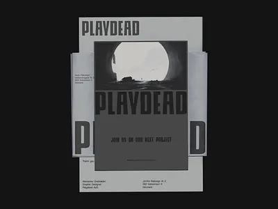 Playead Visual Identity branding design graphic design layout logo typeface typography