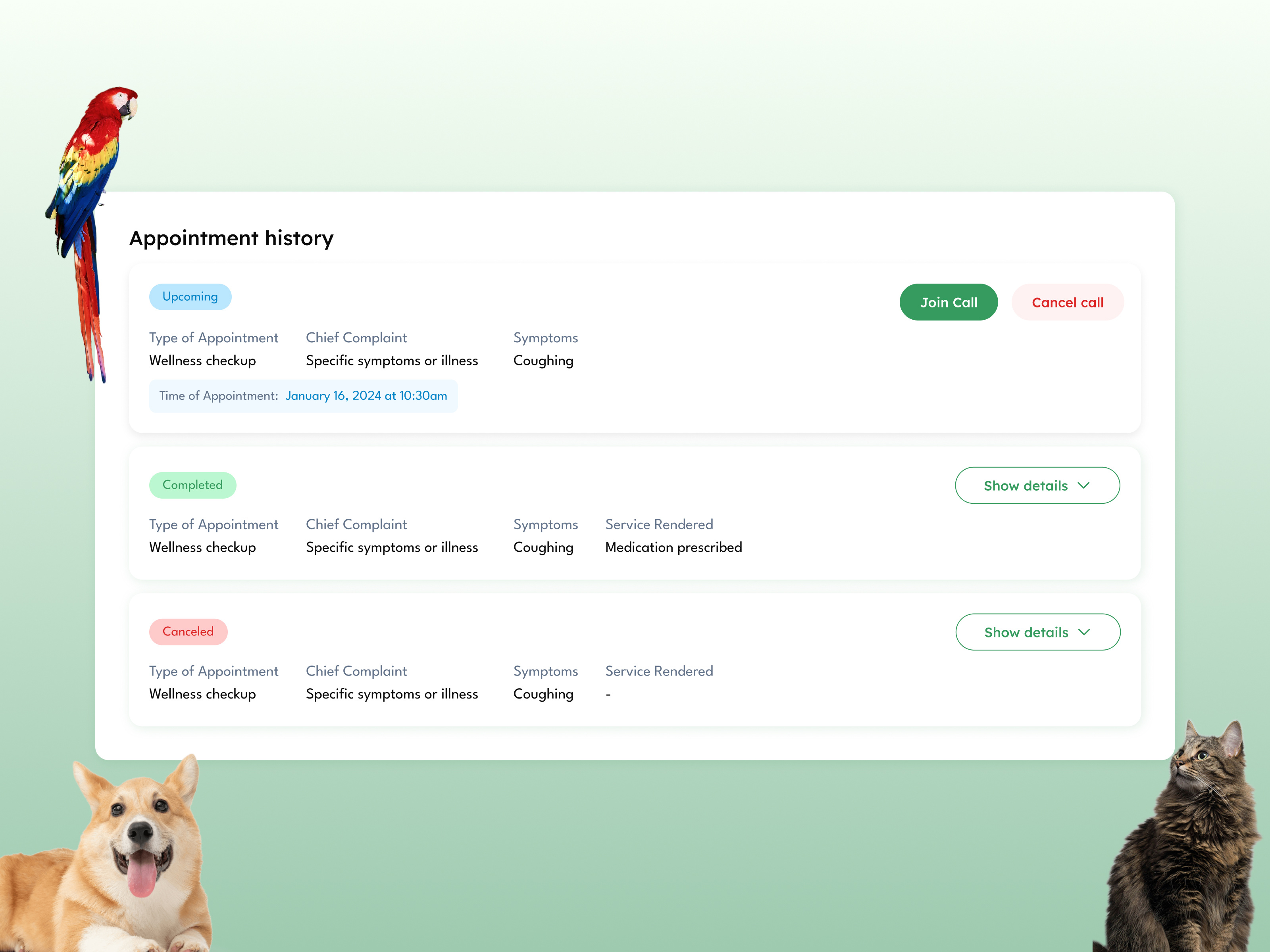 Example of Virtual Vet Records - Patient Overview UI