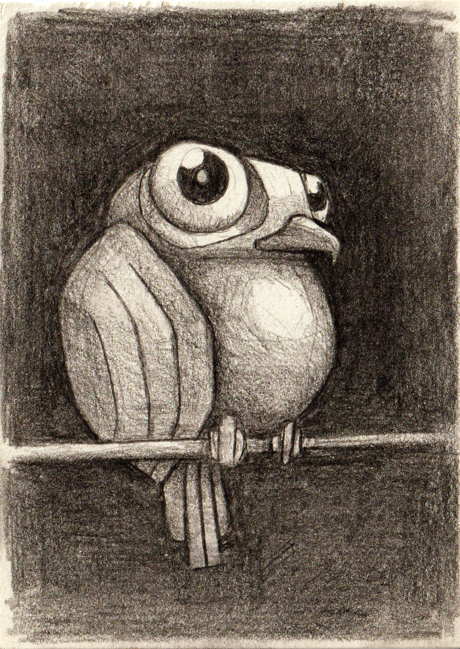 Bird Of Prey bird blackwhite drawing illustration pendrawing