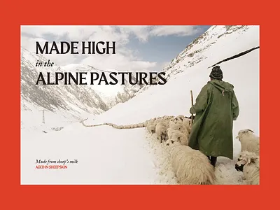 Tushetian Guda Cheese cheese concept georgia travel ui uiux web