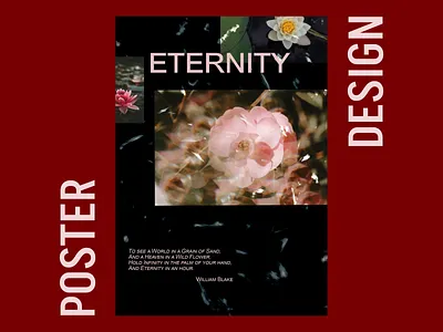 Poster Design adobe illustrator adobe photoshop animation design flowers graphic design illustration instagram post photo photoshop poster poster design ui