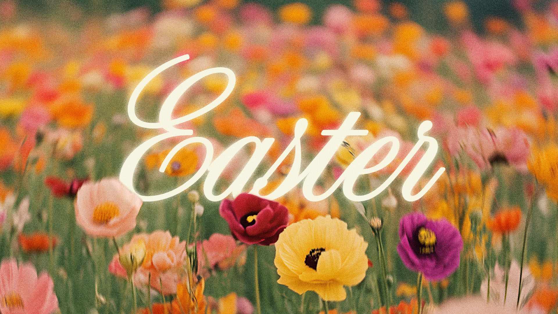 Easter | Sermon Series christian christian sermon church easter easter sermon easter week god jesus sermon sermon series