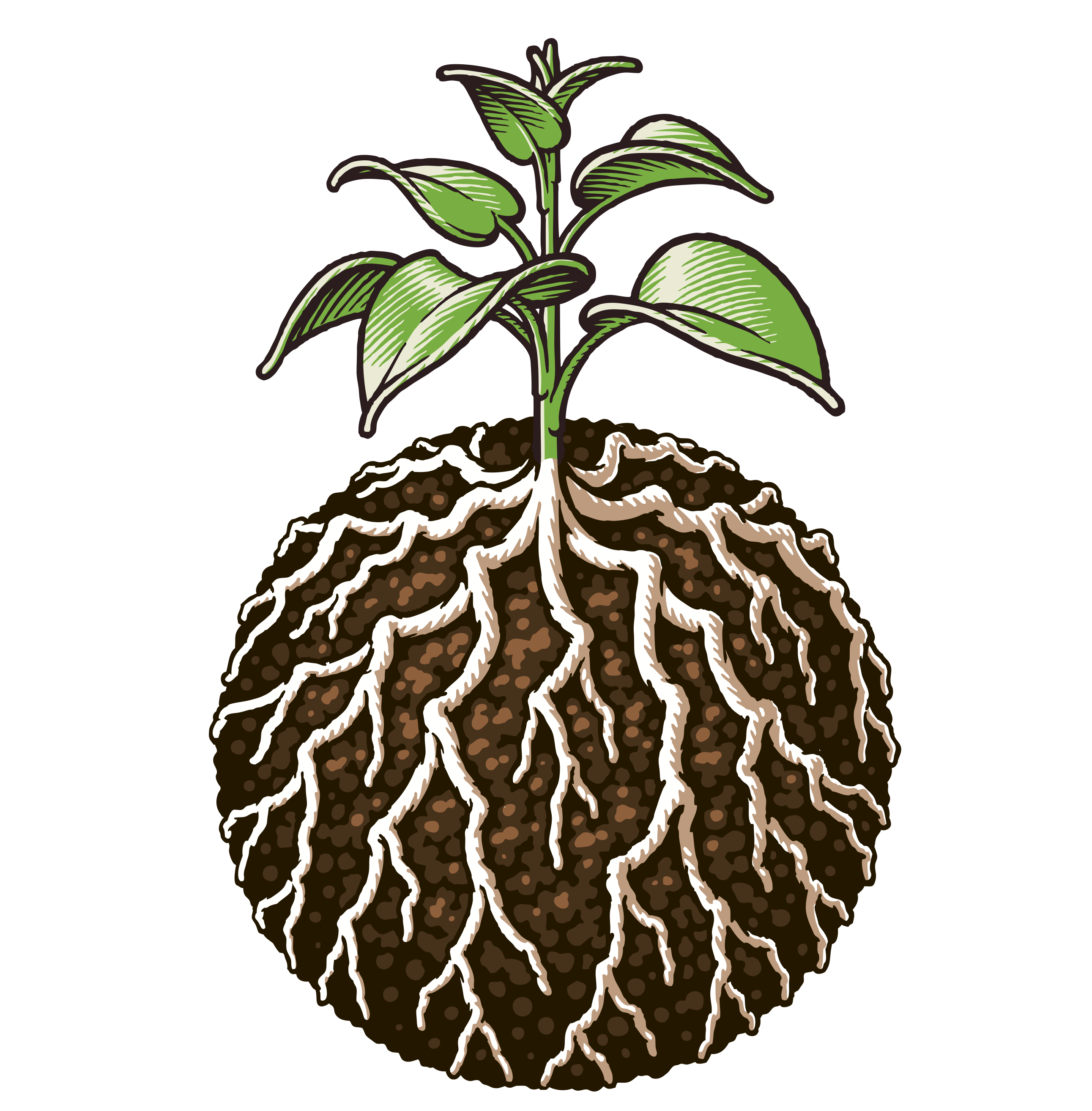 A Logo for an Organic Fertilizer Company branding classic emblem illustration logo pen and ink vintage woodcut