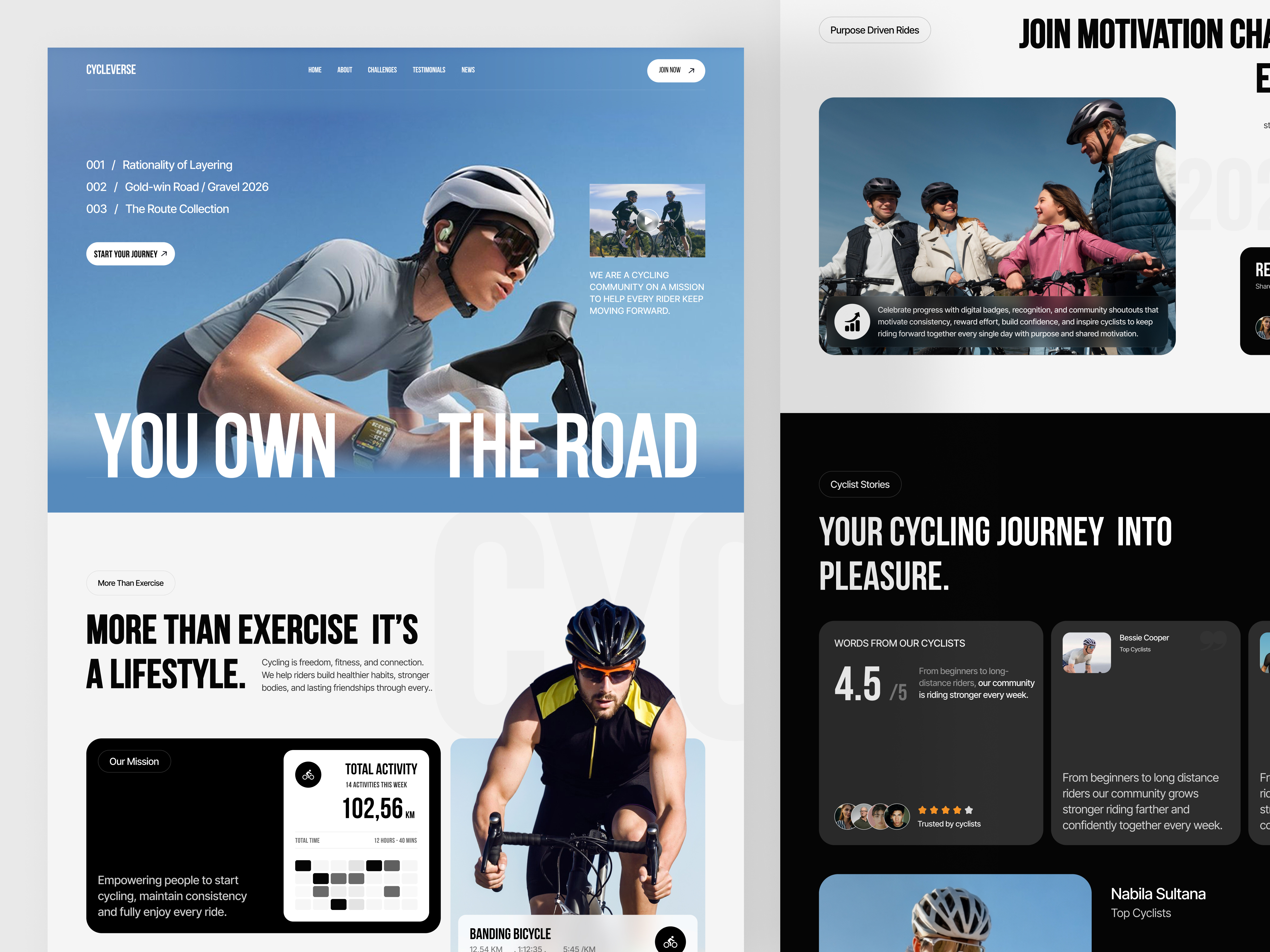 Example of Luxurious Responsive UI UX Website Design
