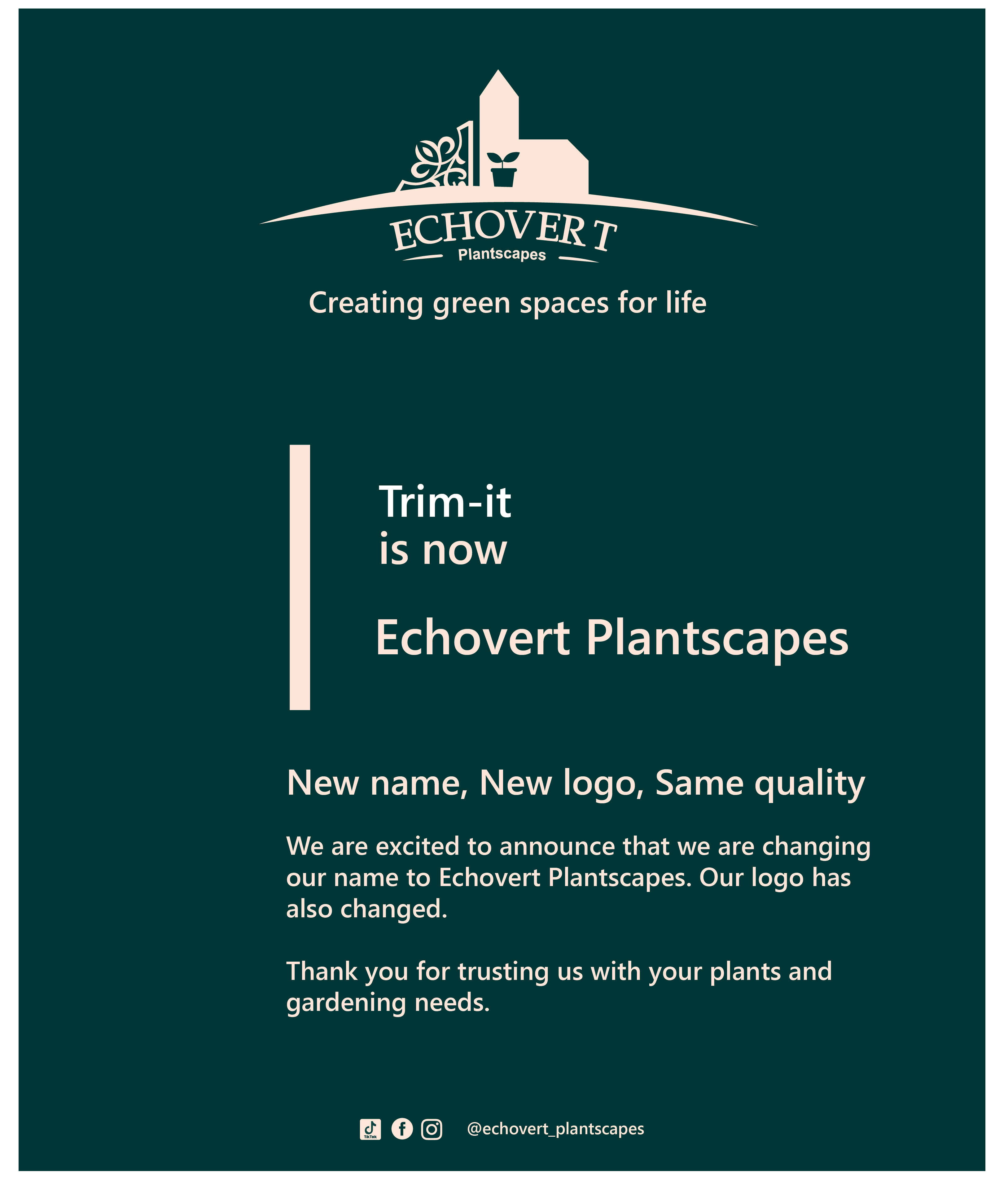 Branding and Services Posters