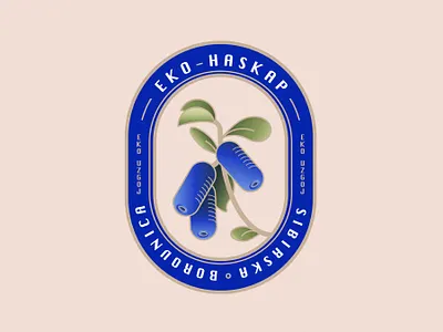 Blueberry Huneysucle logo badge design blue blueberry honeysucle blueberry label blueberry logo branding colorful colors design fruit logo geometric illustration label logo logo logo badge logo emblem oval logo packaging design vector
