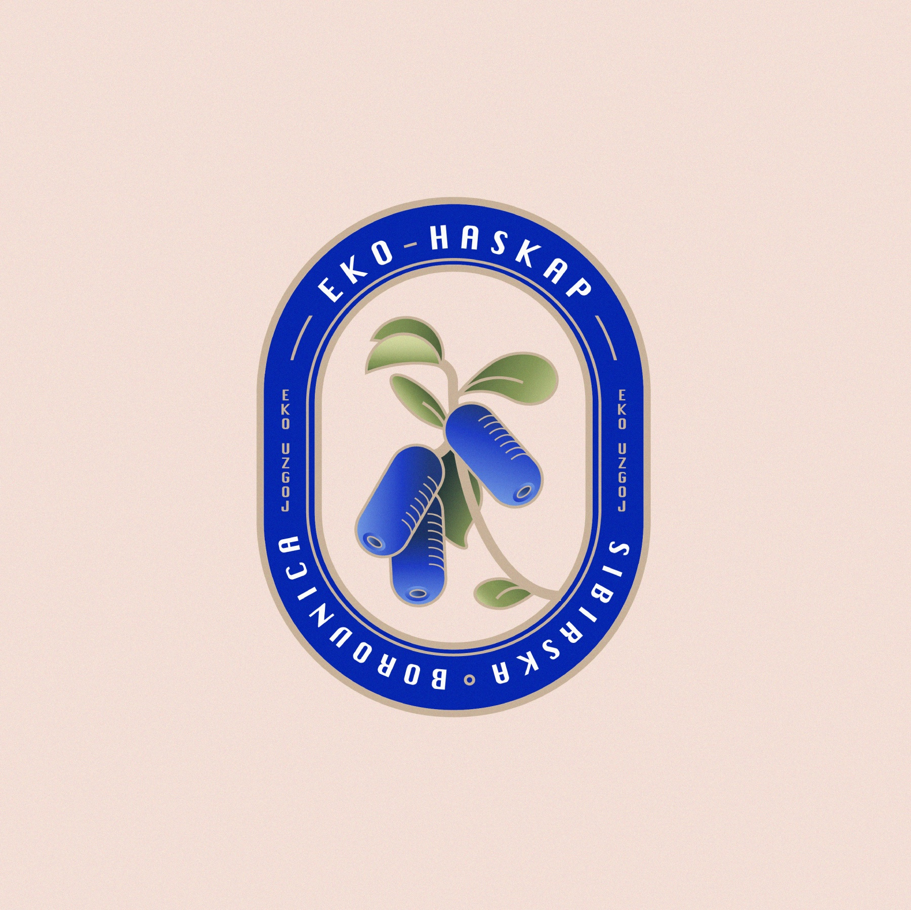 Example of Logo Design
