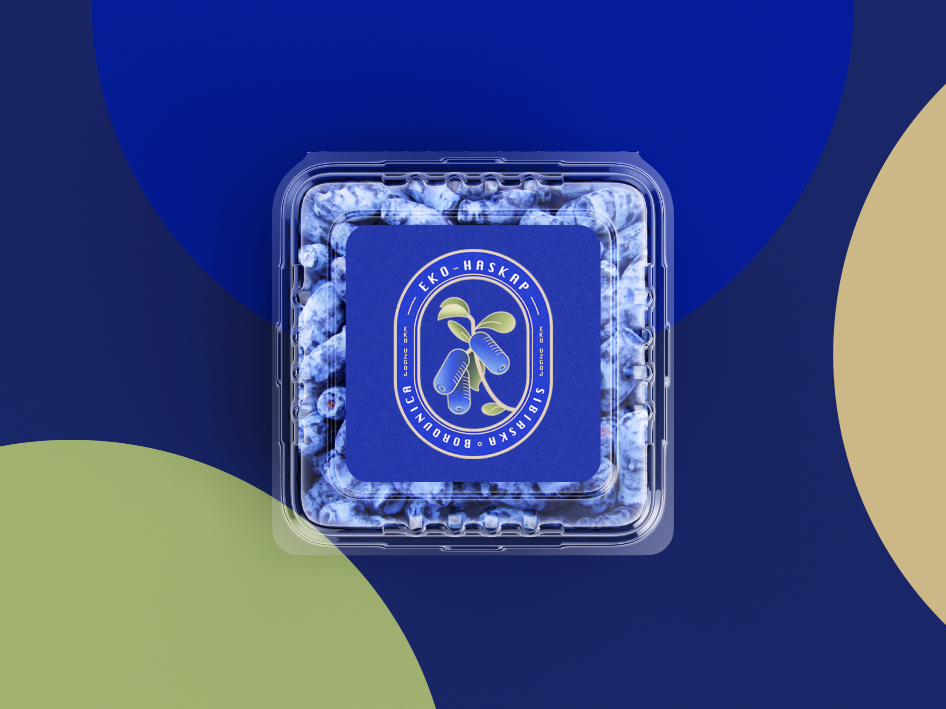 Eko- Haskap Blueberry Honeysuckle logo blue blueberry honeysuckle logo blueberry logo branding colorful colors design fruit logo geometric illustration label logo logo badge logo emblem oval logo packaging design packaging sticker vector