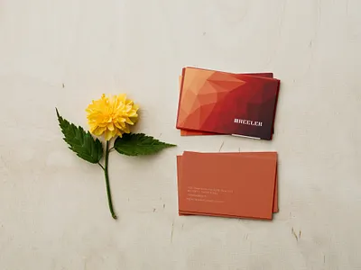 "Dahlia" | Bold Business Card adobe illustrator art branding business card business card design concept art design design inspiration graphic design graphic designer illustration