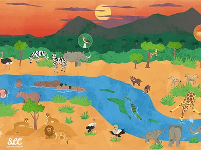 Watering Hole illustration africa animals educational illustration illustration kidlitart nonfiction savannah sciart