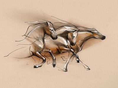 Wild Horse branding drawing horses ill illustration pencil wine