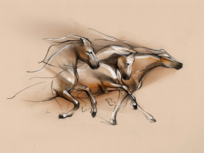 Wild Horse branding drawing horses ill illustration pencil wine