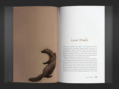 Book Design book design design graphic design typography