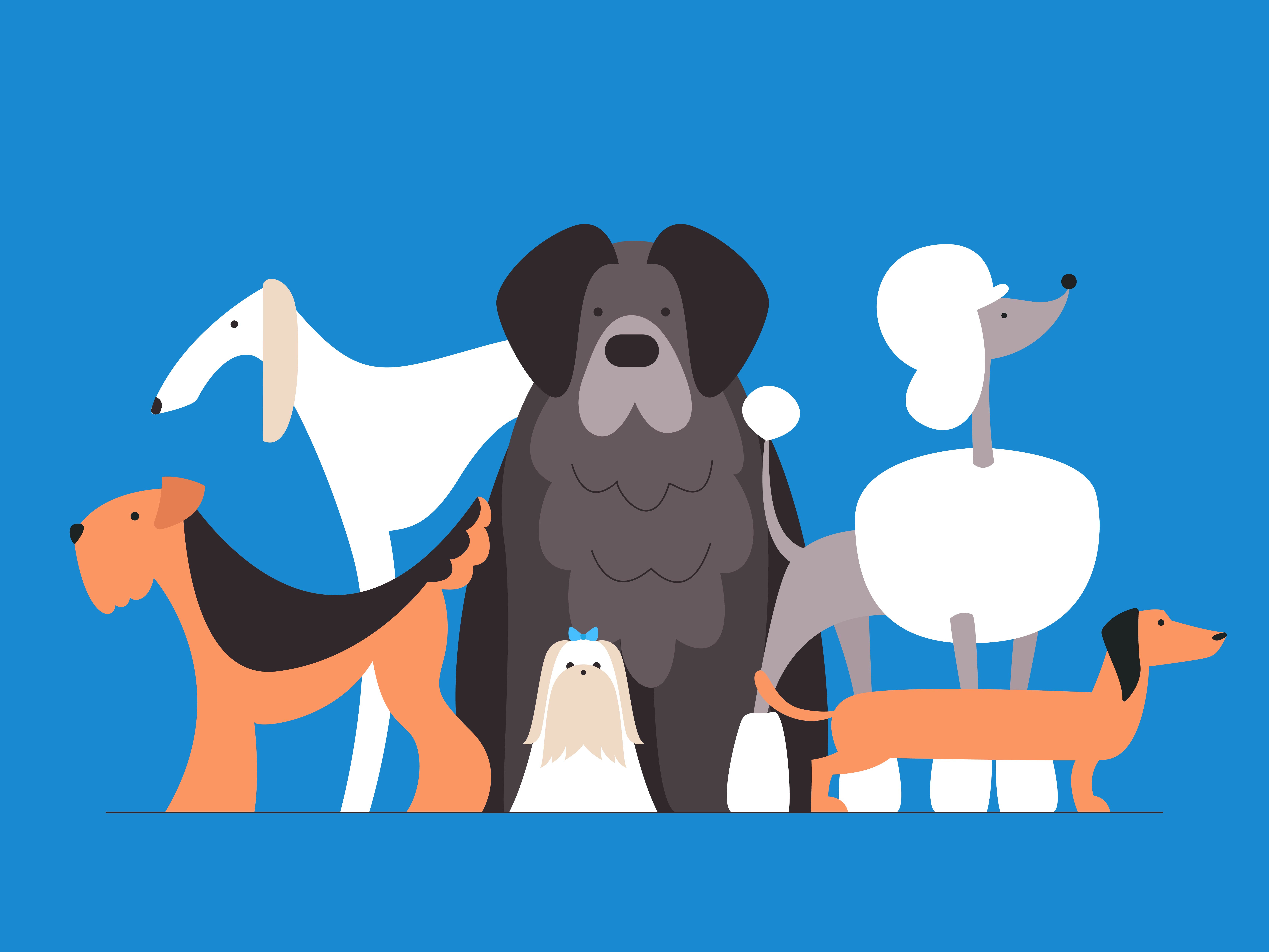 Breeds