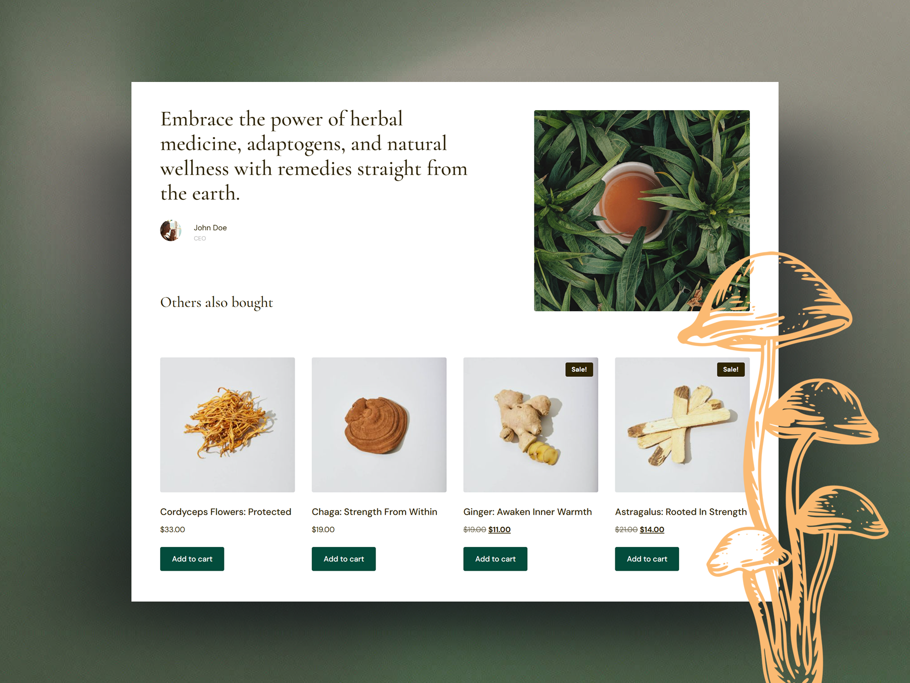 Medicinal Mushrooms & Adaptogens Shop Elementor Website Template