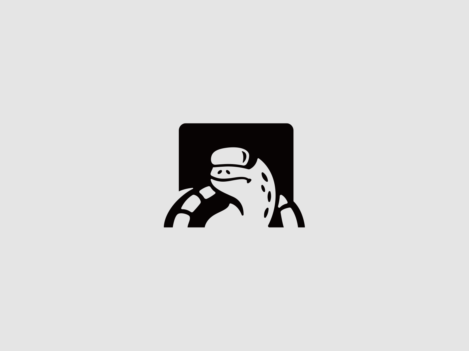 Digital Turtle logo brand brand design branddesigner branding branding design branding designer logo logo design logo designer logodesign logodesigner logotype saas saas logo startup startup logo turtle turtle logo vr vr logo