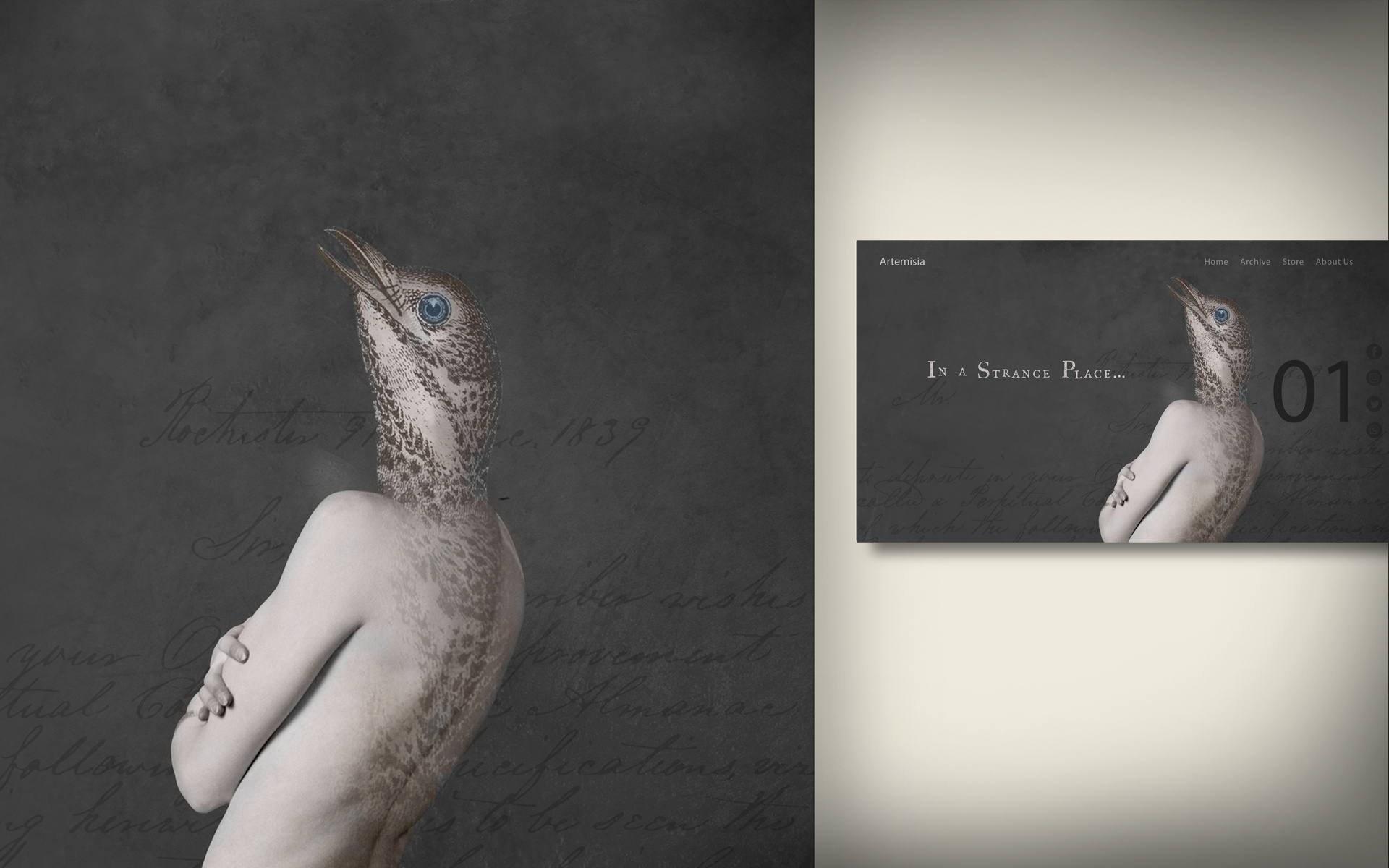 Digital Art/ Illustration/Photomontage