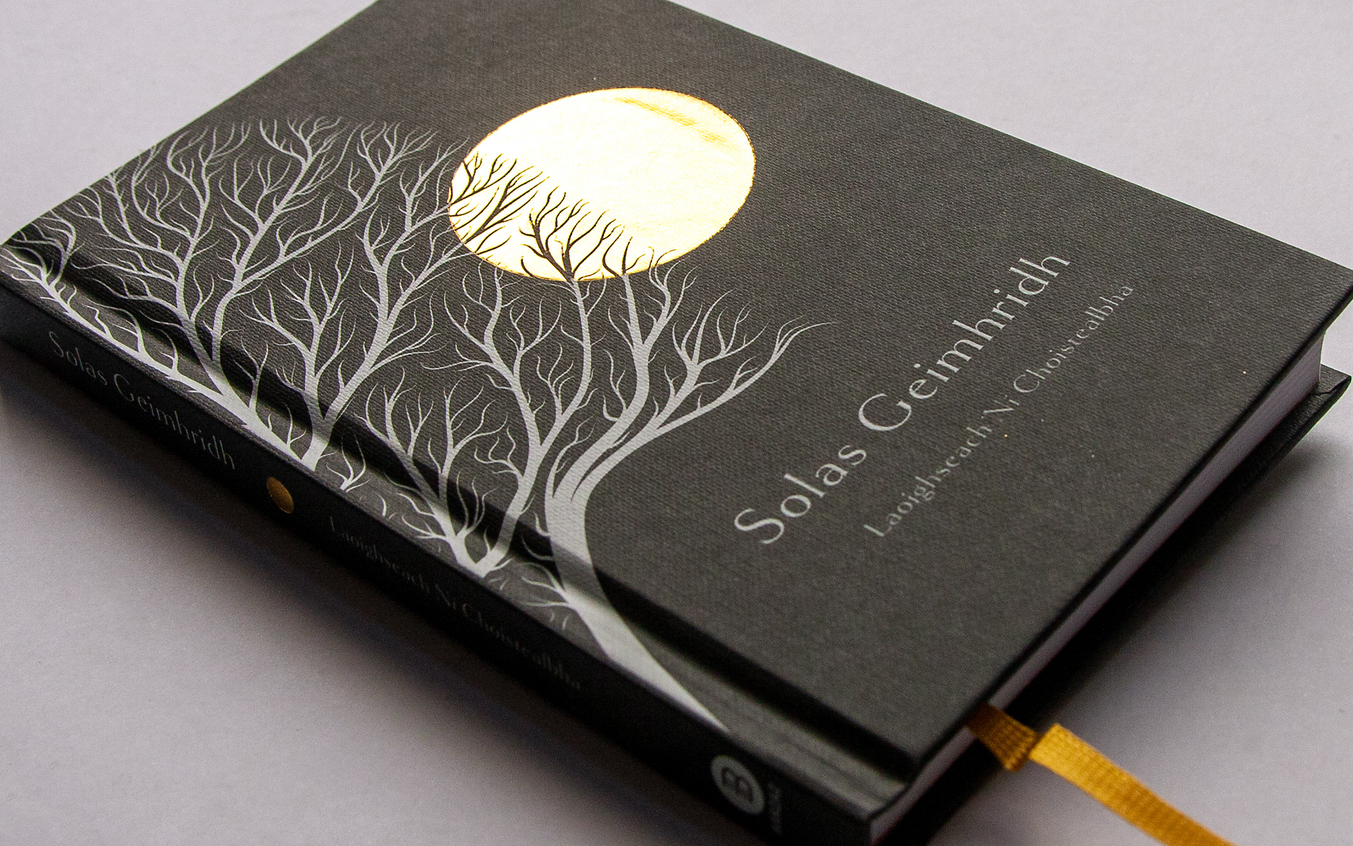 Book Cover Illustration and Design