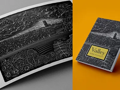 Book Cover Design and Illustration book cover design illustration typography