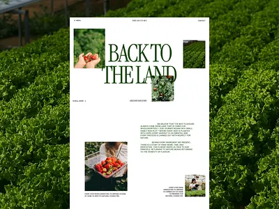 Dream Story - Agriculture Website 10am space aesthetic agriculture branding concept editorial farming green inspiration landingpage layout minimal nature organic storytelling sustainability typography uiux website