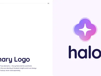 Brand book - Halo branding graphic design logo