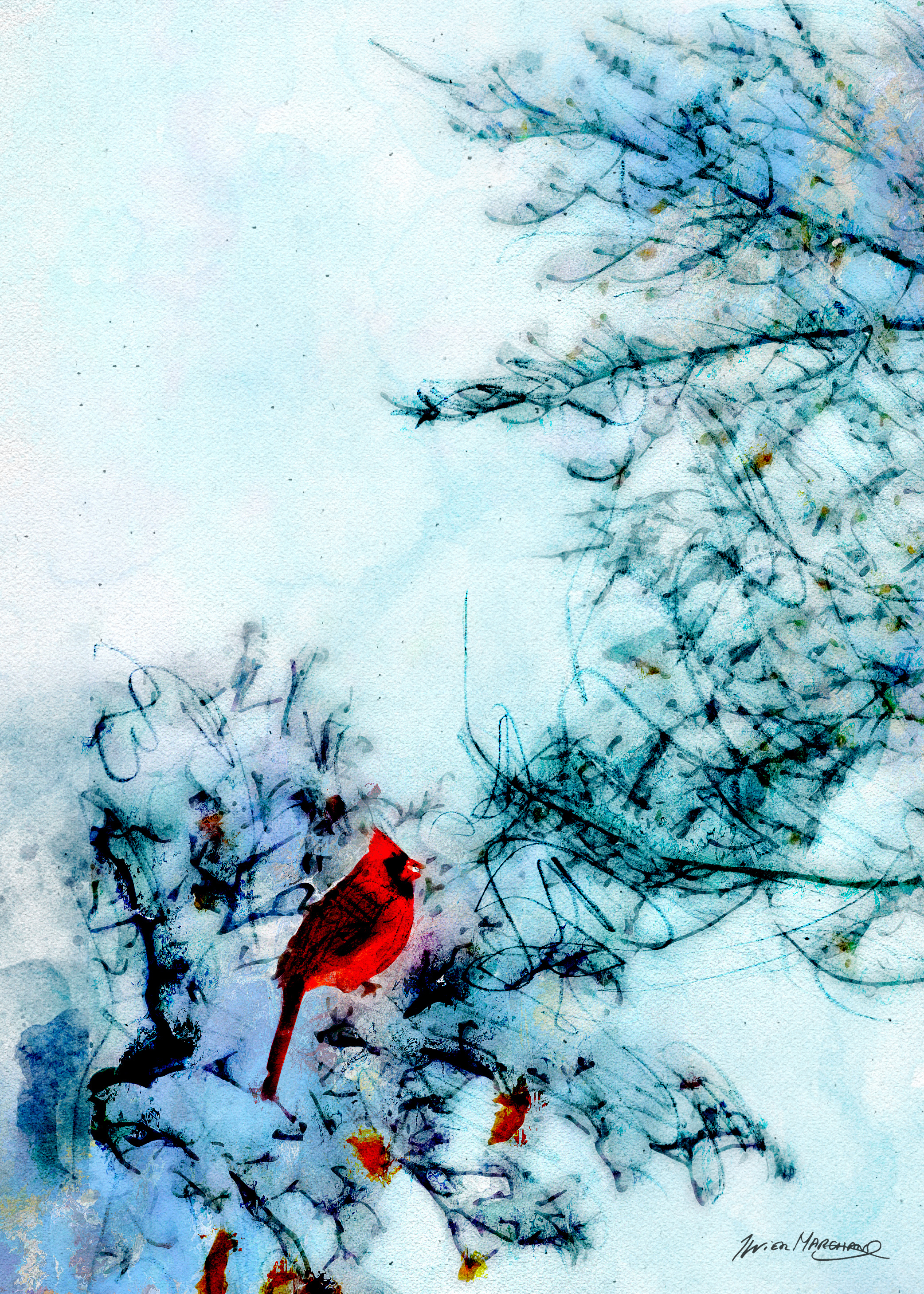Cardinal dans un arbre enneigé